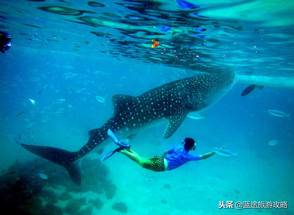 全球最值得去的海岛,国外人生必去的海岛
