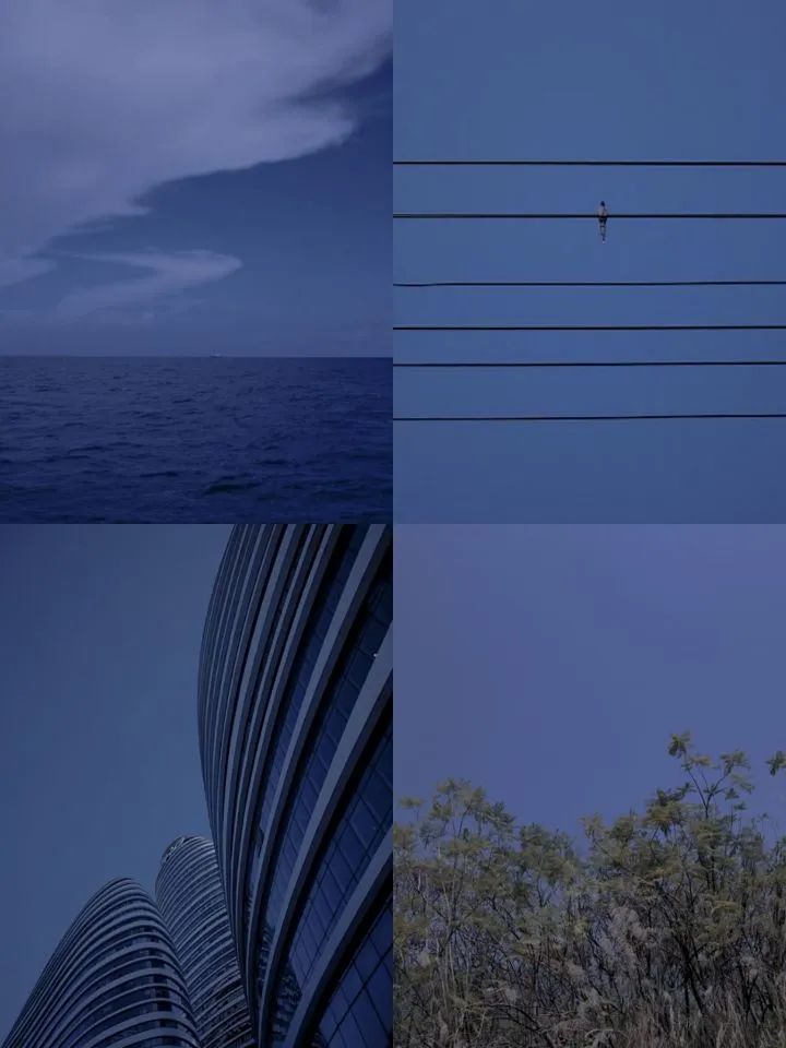 黄油相机超好看的滤镜,蓝调滤镜黄油相机