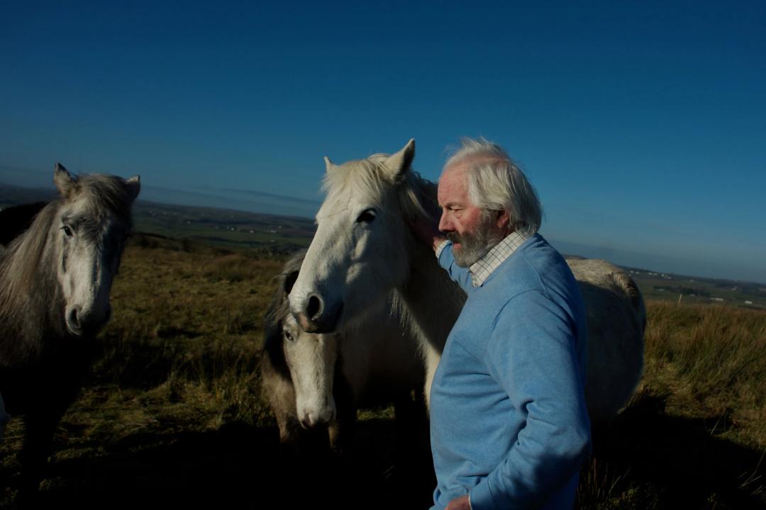 想脱单去哪找优质男,想脱单去哪里认识女孩