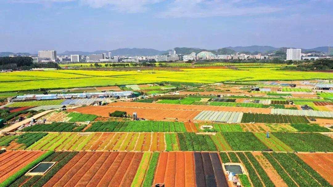 住在深圳光明新区好不好,住光明来南山上班