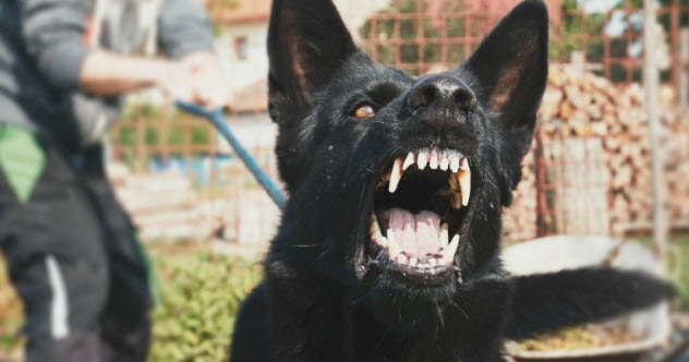 唾液的小用处,唾液的九大功能