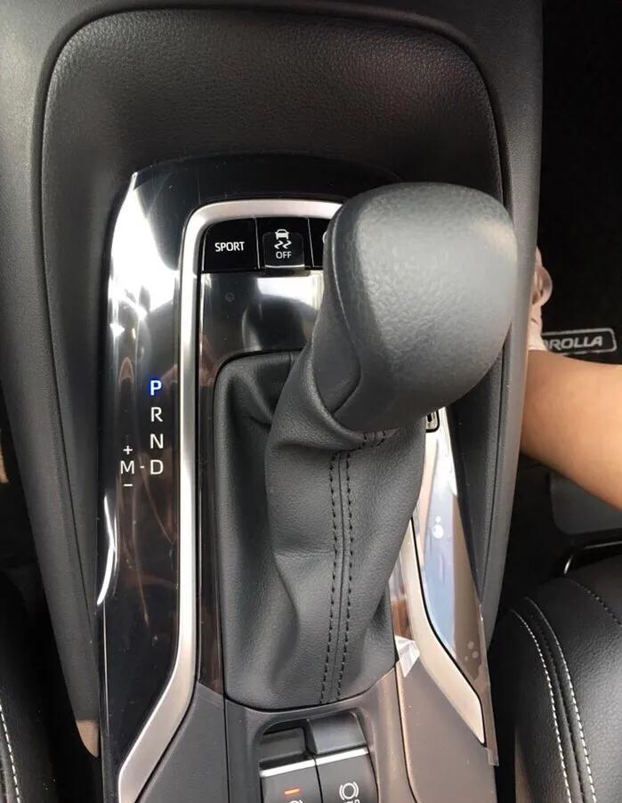 喜欢多姿多彩的生活,多彩多姿的生活作文