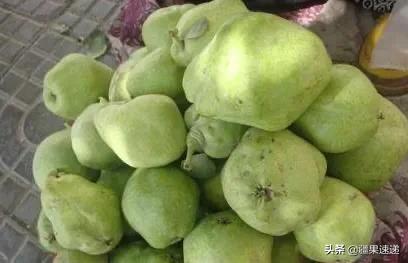 不得不吃的四种国产水果,疆内水果品种大全