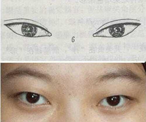 对照下你是哪种漂亮的眼型,如何区分自己的眼型