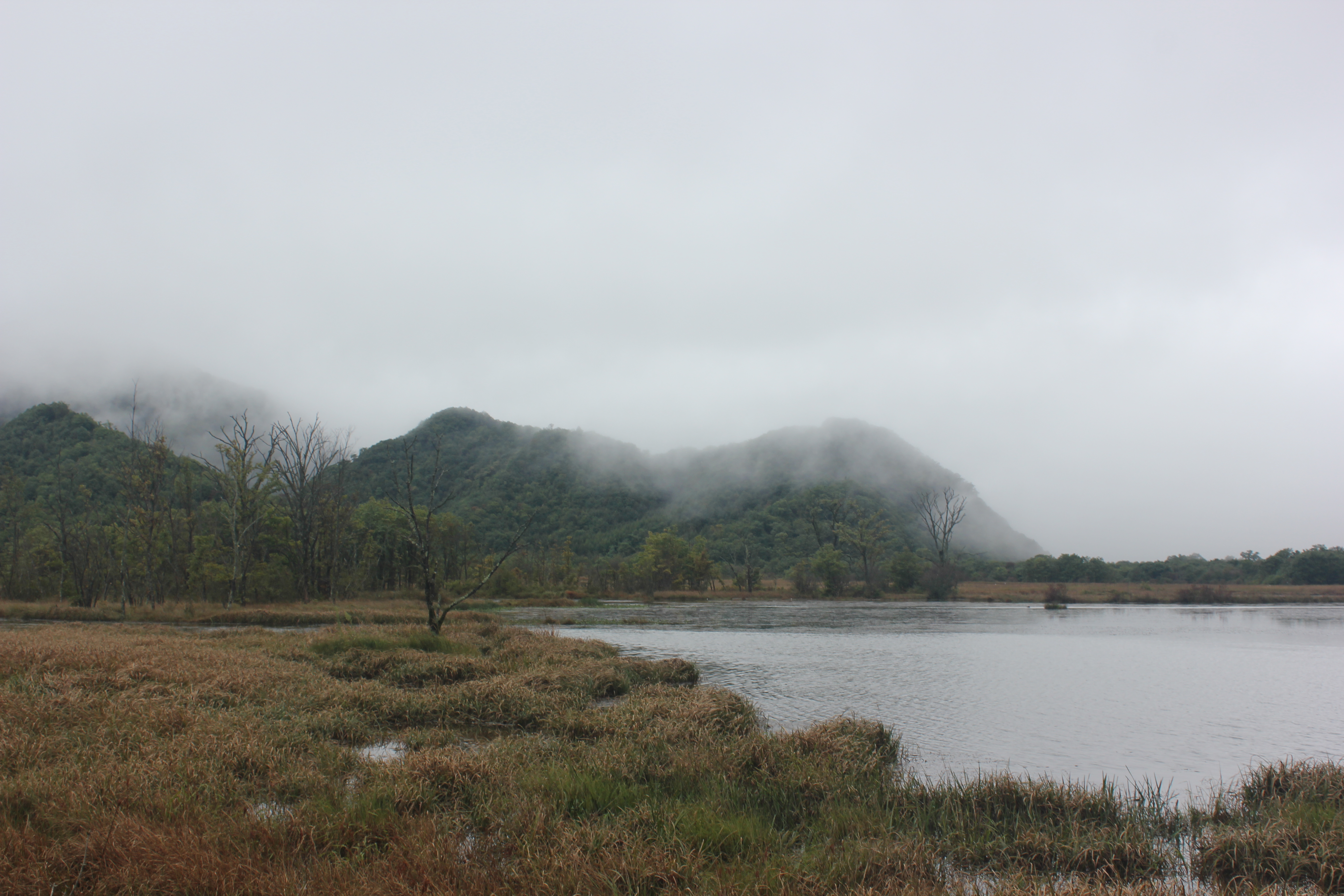 雨中神农架探秘之旅｜国庆节节武汉至神农架自驾游攻略分享