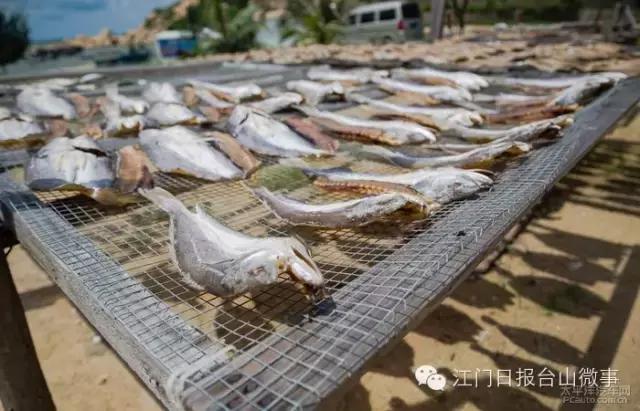 看饿了！南海开渔，佛山人去这些地方吃到high