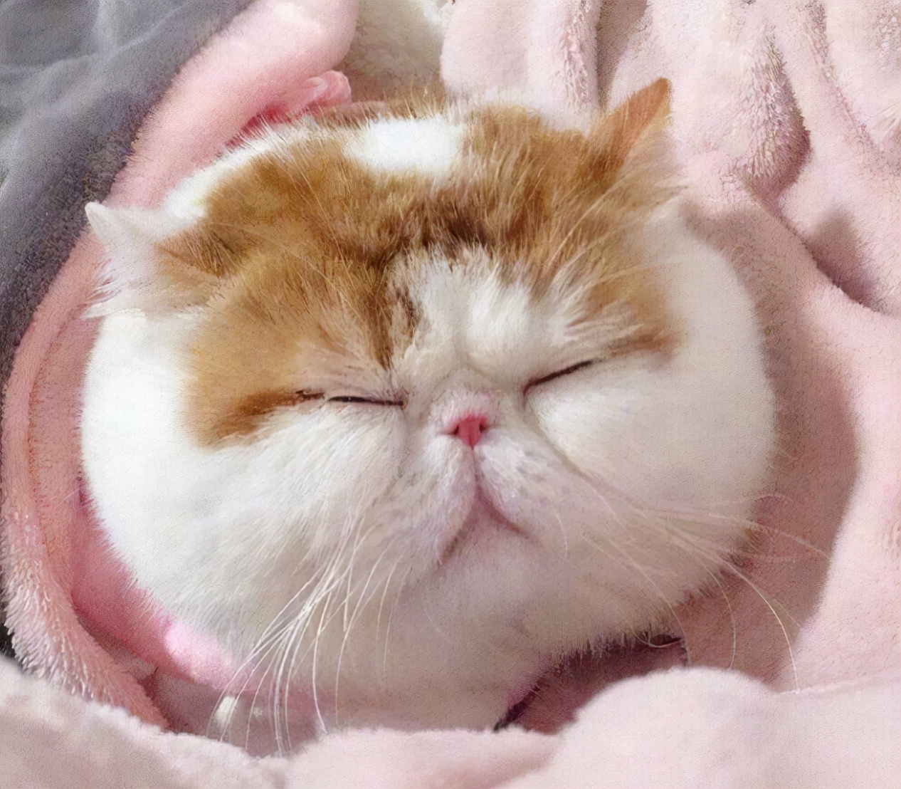 文艺慵懒而干净的句子,美食与生活的文艺句子