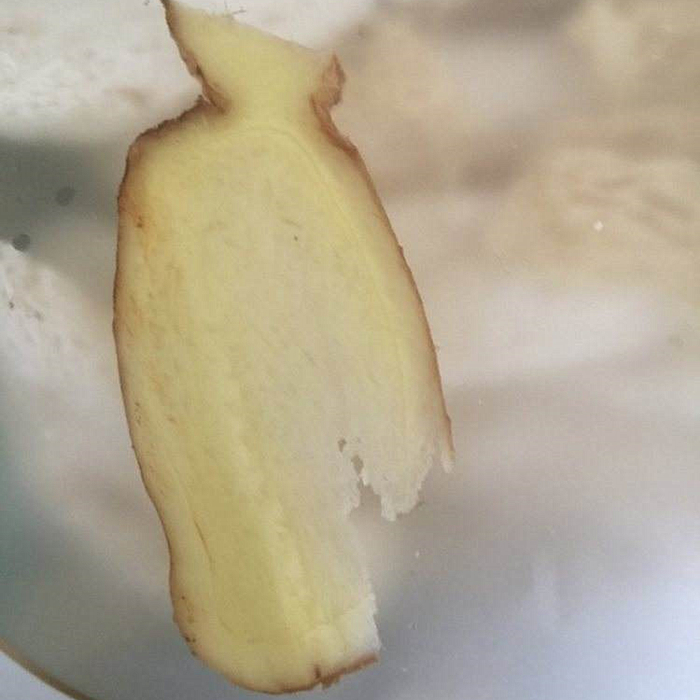 猫咪毛发干枯没光泽掉毛严重,猫咪也有头皮屑吗