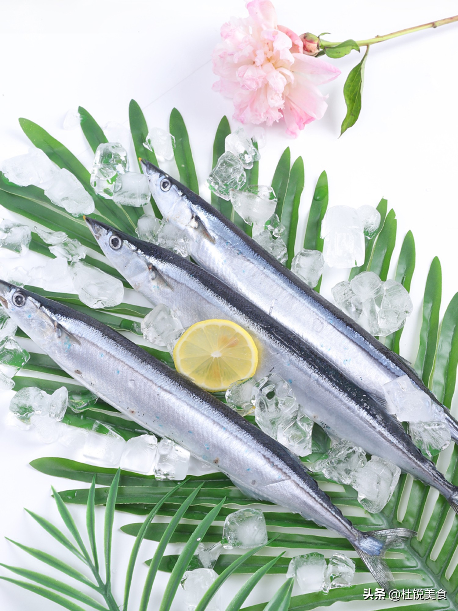 野生海鱼不能人工养殖的,懂行人买鱼专挑这6种海鱼