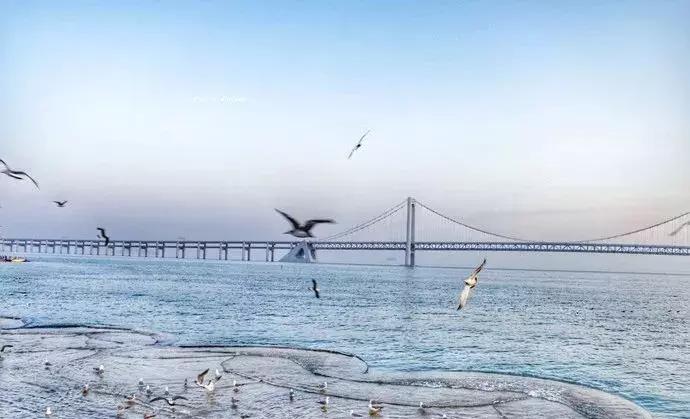 11月机票白菜价！从西安出发游遍全国，最低75元！说飞就飞~