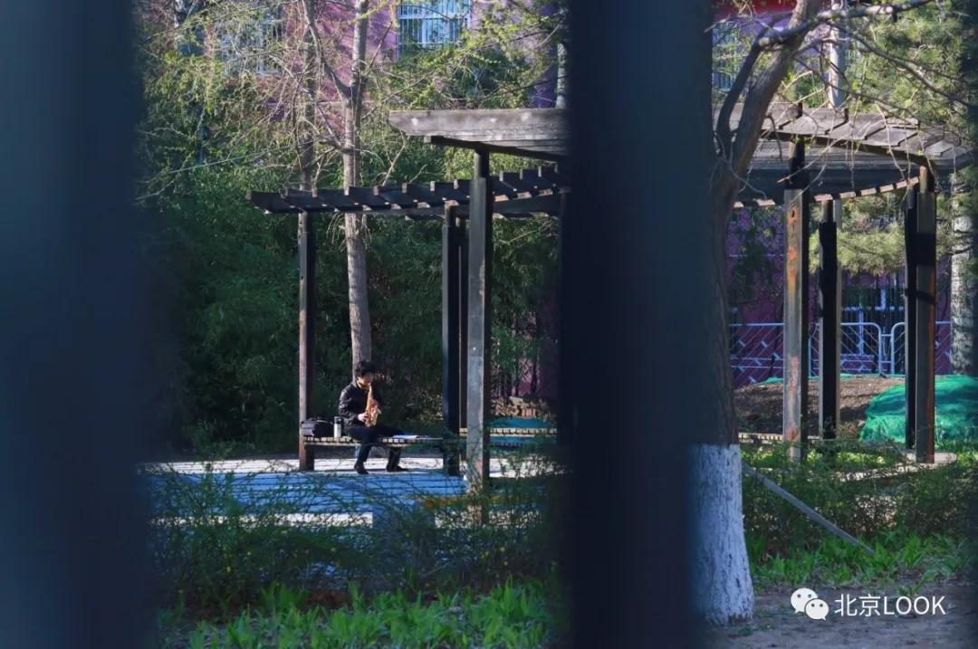 北京小区的早晨,北京小区里的傍晚