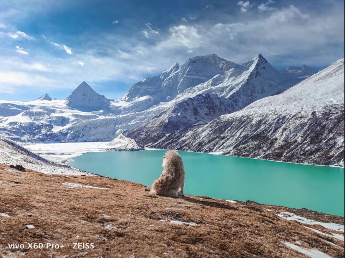 x60pro蔡司镀膜会磨损么,蔡司x60pro评测