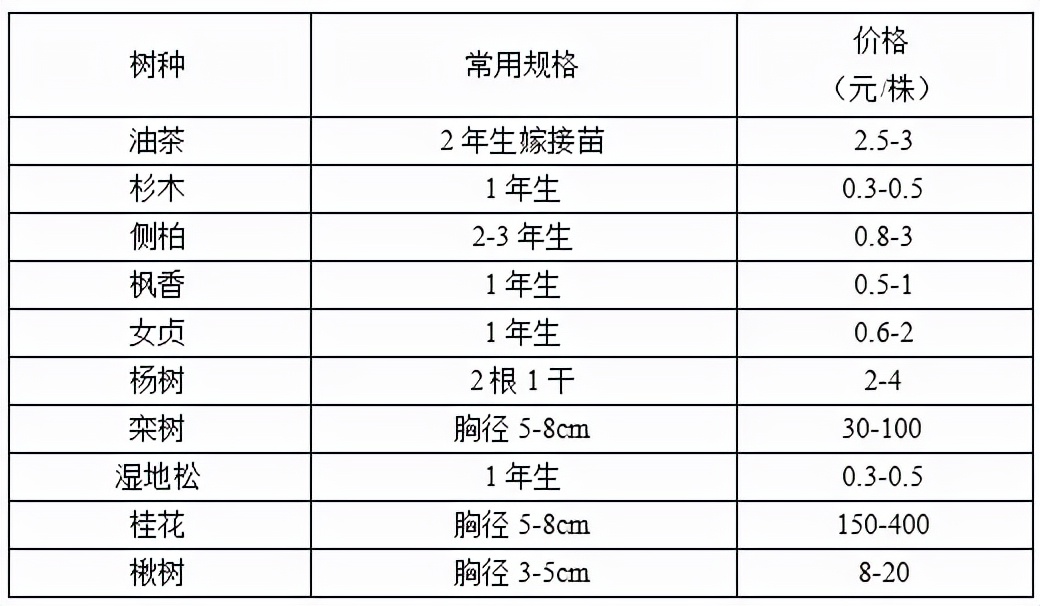 2022年秋季全国各地苗木市场行情,2021年春季苗木行情分析报告