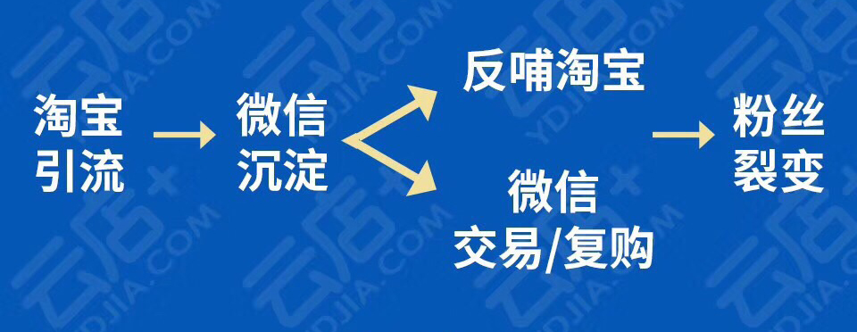 代购夫妻,母婴代购创业