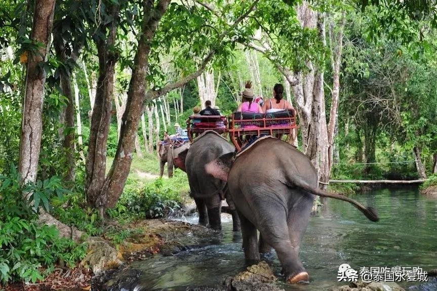 清迈清莱最值得游的景点,清迈旅游景点大全排名