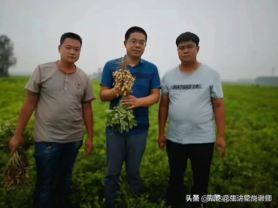 全国土特产食品花生,薄皮花生品种大全