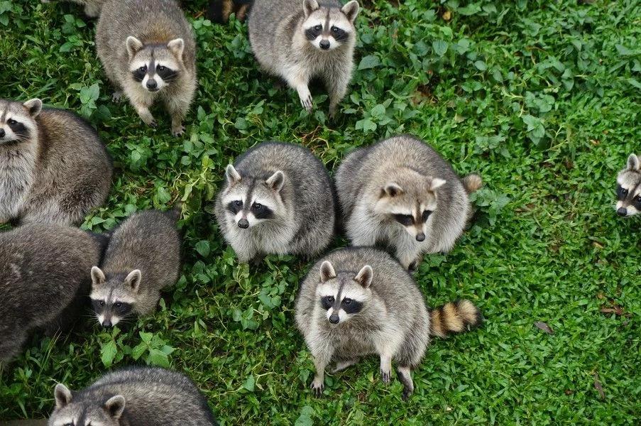 广州哪里好玩的地方推荐最新,广州哪里好玩的地方免费推荐