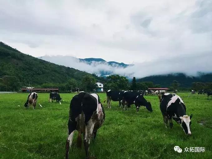台湾清静农场在哪里,台湾桃园观光农场在哪里