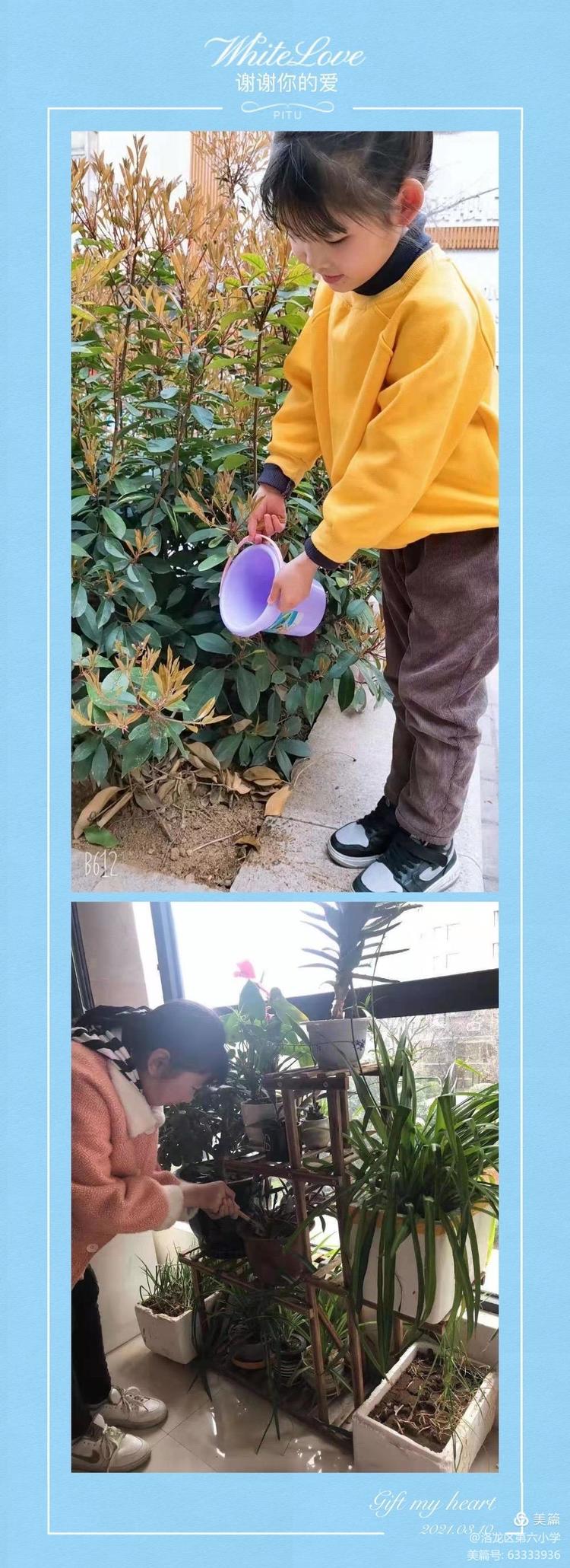 植树节拥抱春天播种绿色放飞希望,2022年植树节主题拥抱春天