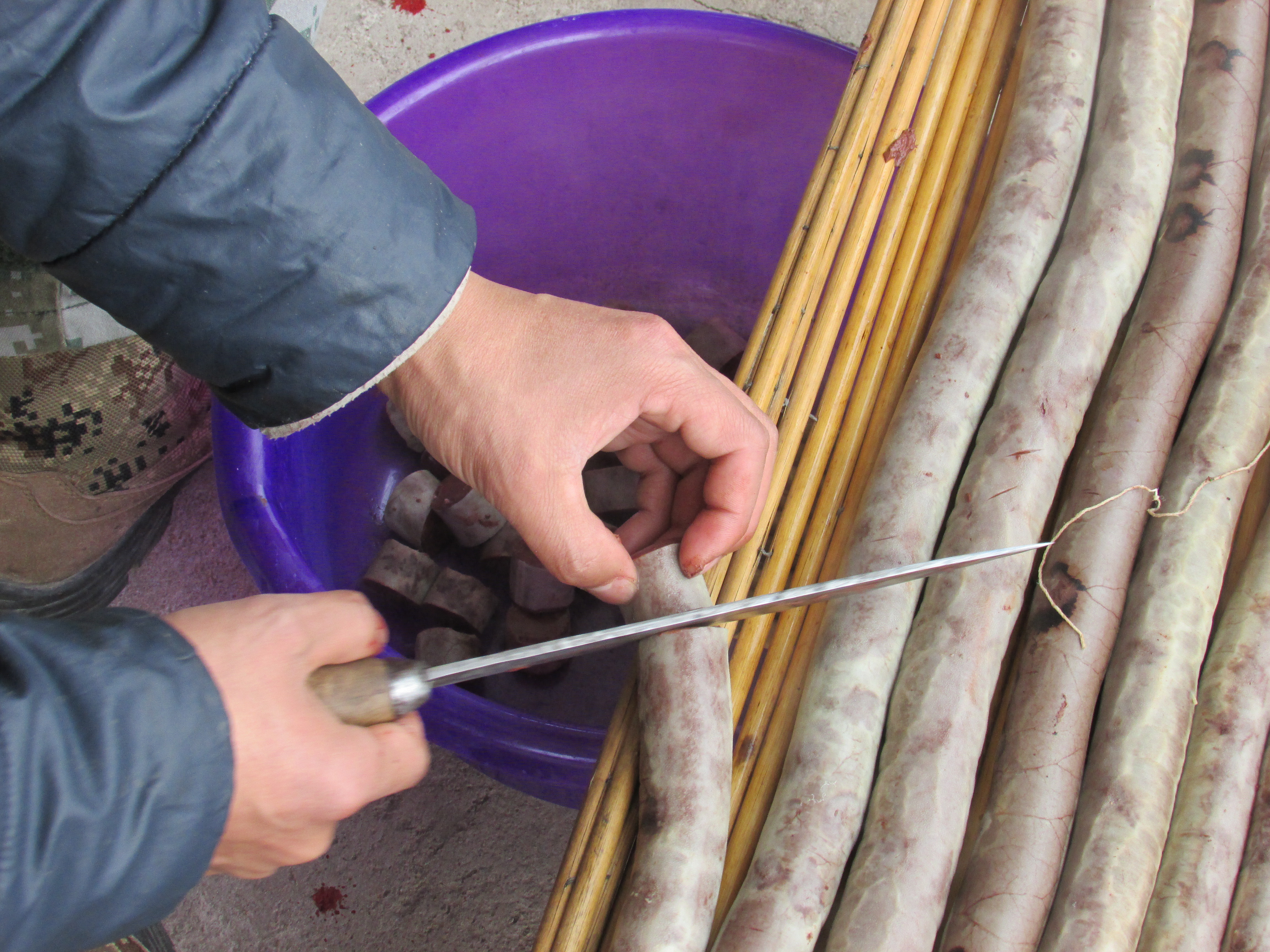 东北杀年猪来吃猪肉,老东北杀年猪