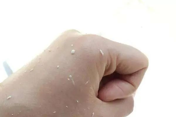 不要盲目跟风去买护肤品,护肤品跟风种草