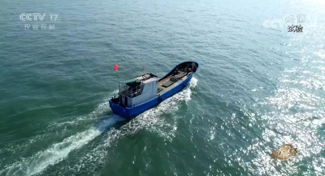 年过花甲，他重回“鬼门关”，抓出上亿黄金财