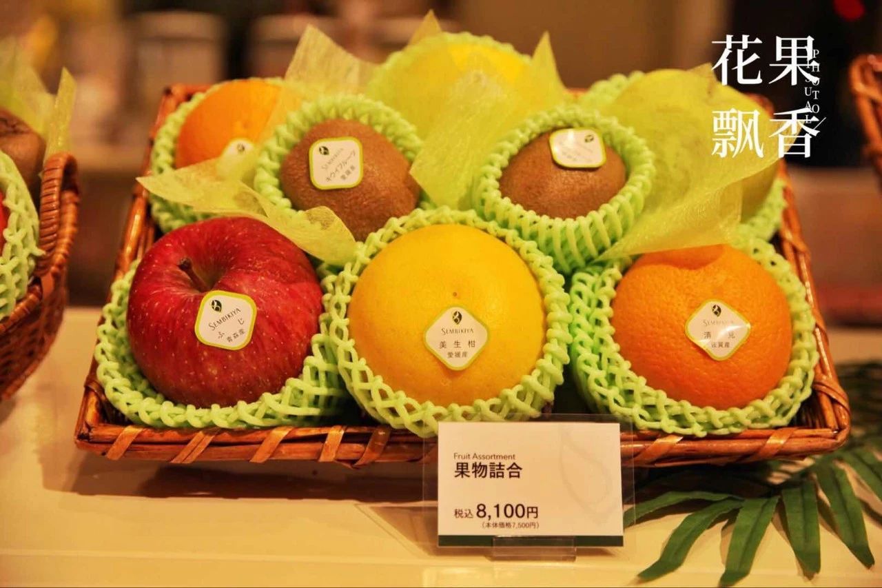 原来，日本果业是一个精致的、被JA溺宠的“老宅男”