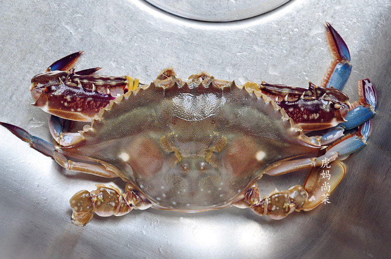 如何挑选肥美蟹,挑蟹最佳方法图解