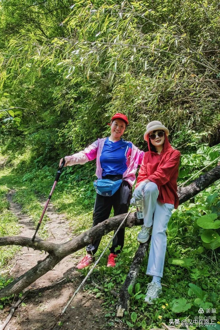 汉中圈子崖天坑,汉中镇巴圈子崖天坑旅游攻略