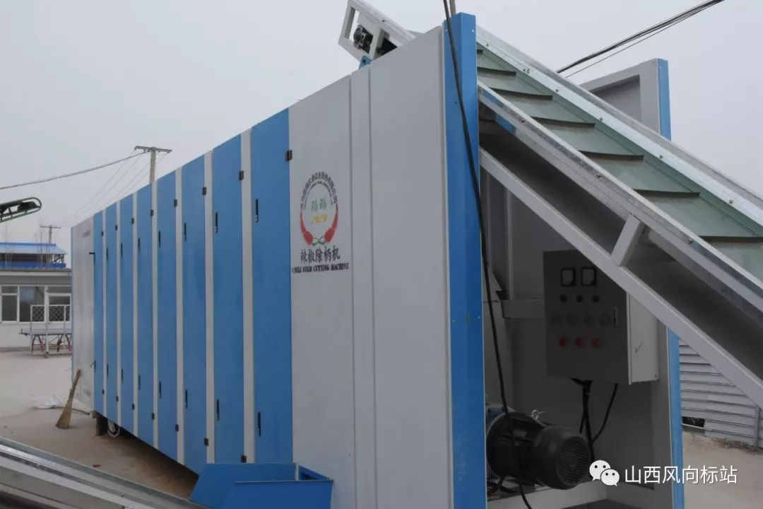 忻州曹张高村辣椒,山西忻州辣椒迎丰收椒农笑开颜