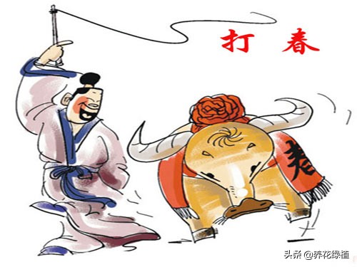 2021年什么时间立春几点几分,2021年什么时候立春几点几分