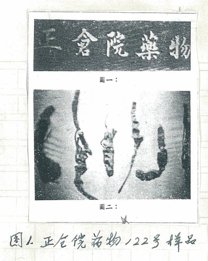 人参的历史小科普,人参专家讲人参