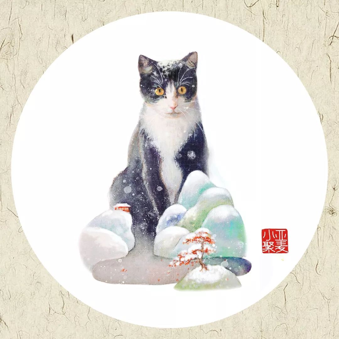 可爱的橘猫插画,一组可爱的治愈系猫咪插画