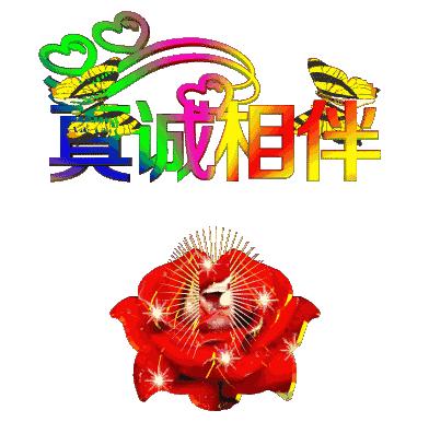 早安文案高级感幸福是自己争取的,励志语录人生这条路靠自己走