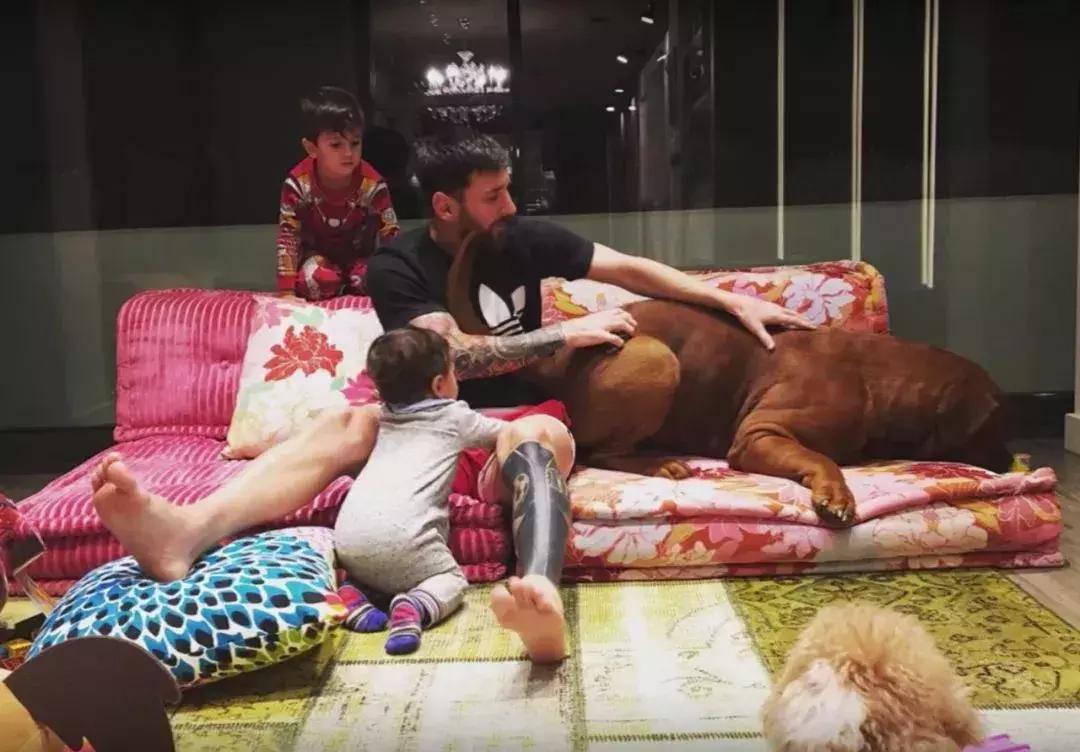 梅西内马尔c罗豪宅,c罗梅西内马尔谁有钱