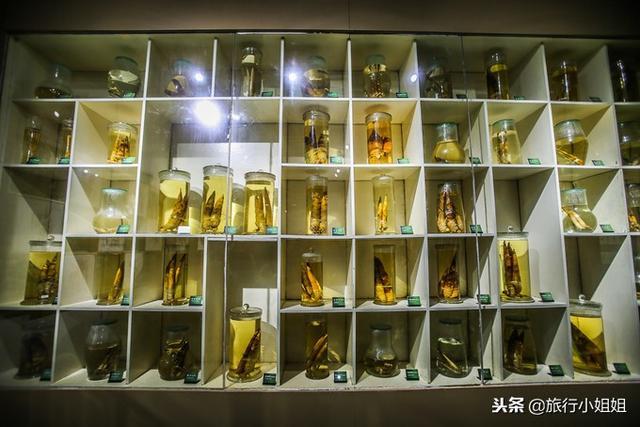 天目湖加南山竹海哪里泡温泉好,天目湖度假秘境享用绝美自然山水