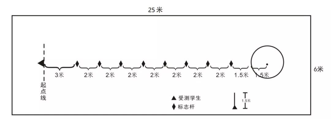 杭州小学生体育测试标准,杭州小学生体测