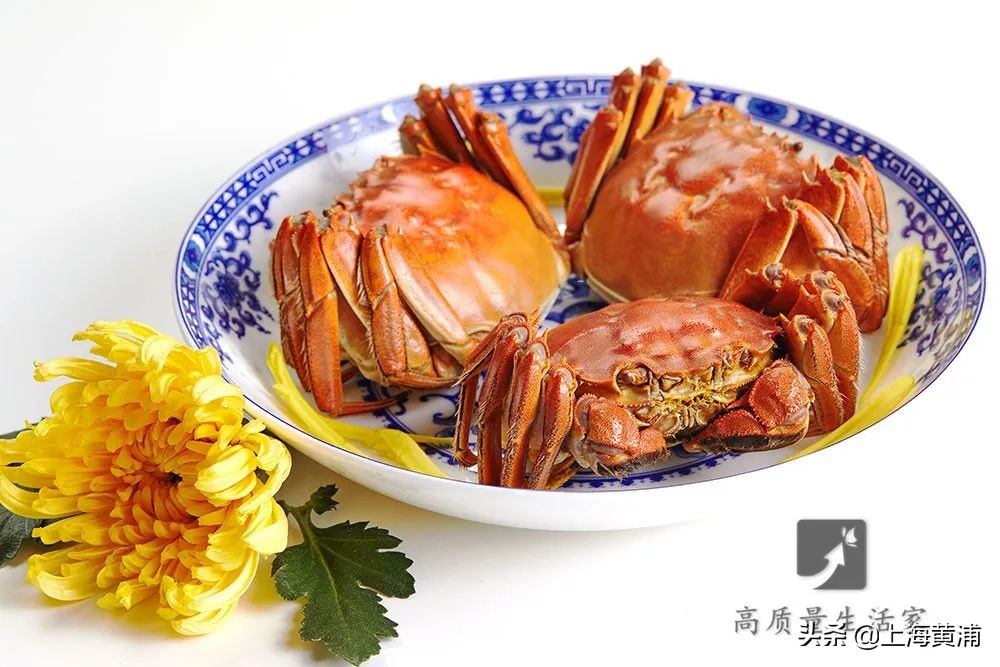 保存螃蟹应该放冷冻还是保鲜,怎么保存螃蟹才能存放更久呢