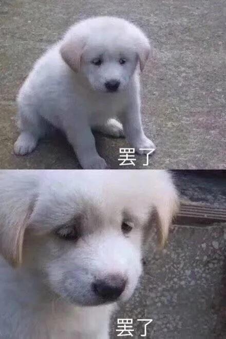 沙雕表情包动态,沙雕表情包熊猫头素材