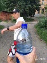 瓶盖挑战罗志祥,瓶盖挑战赵文卓