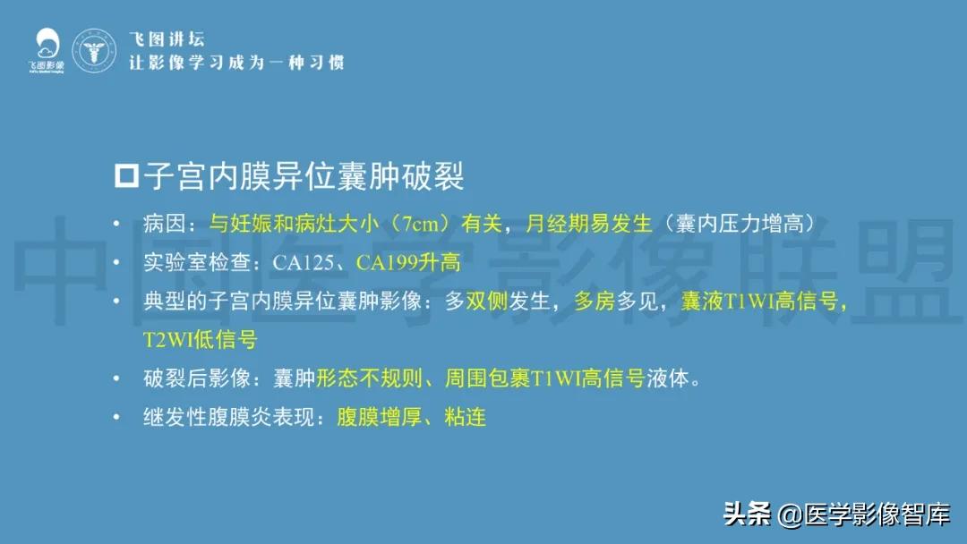 子宫解剖结构输卵管和卵巢位置,子宫附件ct影像学正常解剖表现