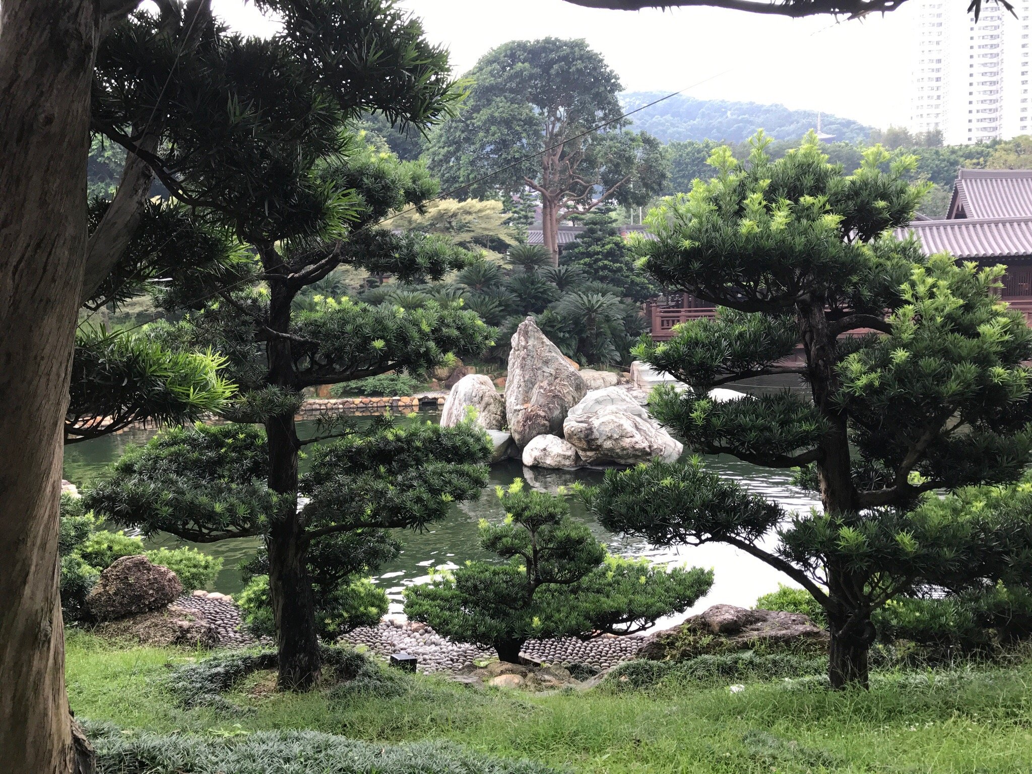 香港志莲净苑地图,香港志莲净苑好玩吗