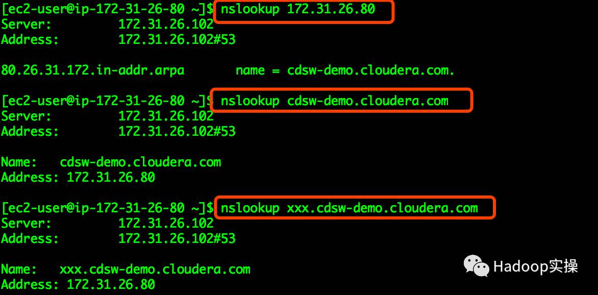 0047-如何利用Dnsmasq构建小型集群的本地DNS服务器