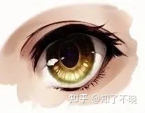 单眼皮大眼的画法教程,水灵灵大眼睛的画法你学会了吗