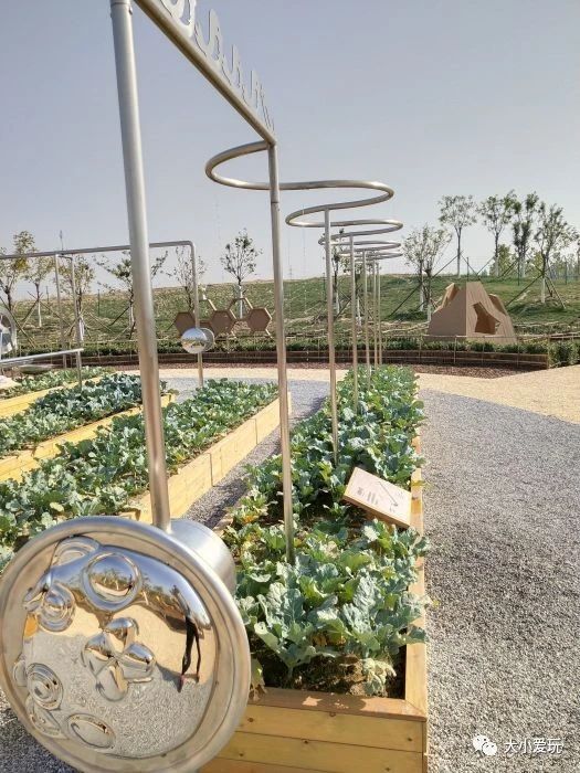 北京十大免费遛娃去处,北京朝阳区遛娃好去处