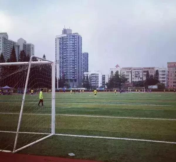 福田花卉世界最新规划,福田花卉世界新址