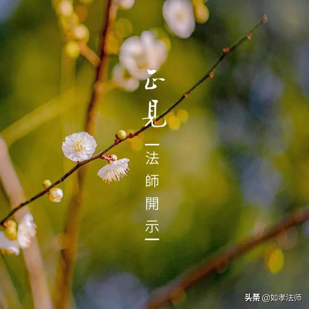 鏄ュぉ鏄敓鍙戠殑瀛ｈ妭涓囩墿澶嶈嫃,鏄ュぉ涓囩墿鐢熷彂瀵撴剰