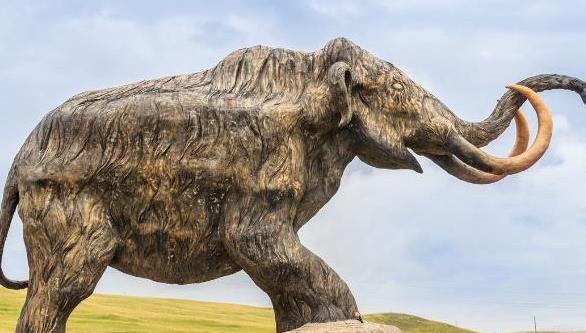 猛犸象灭绝了多少年,史前动物猛犸象是怎样灭亡的