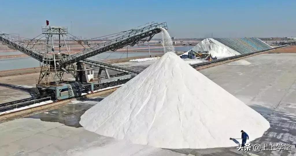 上瘾、暴利和健康，周黑鸭一颗盐背后的经济世界