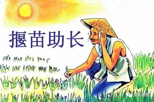 小时候不懂长大了才看懂了,长大了才看懂课文